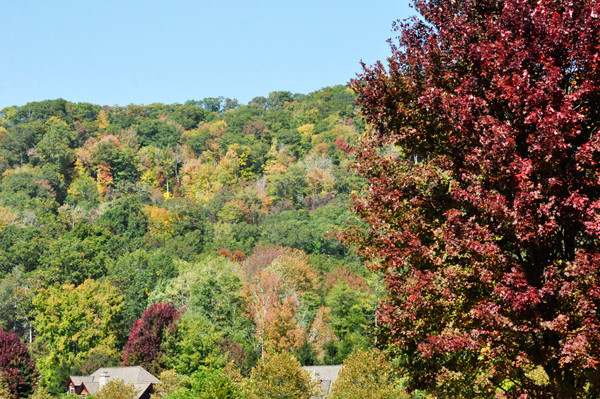 fall colors in Banner Elk